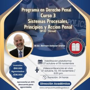 DP-03 Sistemas Procesales, Principios y Acción Penal