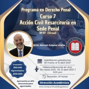 DP-07 Acción Civil Resarcitoria en Sede Penal