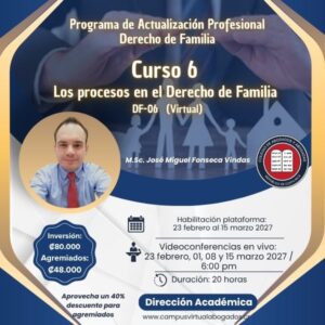DF-06 Los procesos en el Derecho de Familia